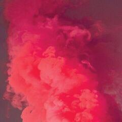 Vinylplate Matt Bauer - Dream's End (LP)