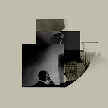 Δίσκος LP Janelle - Fault Lines (LP) - 1