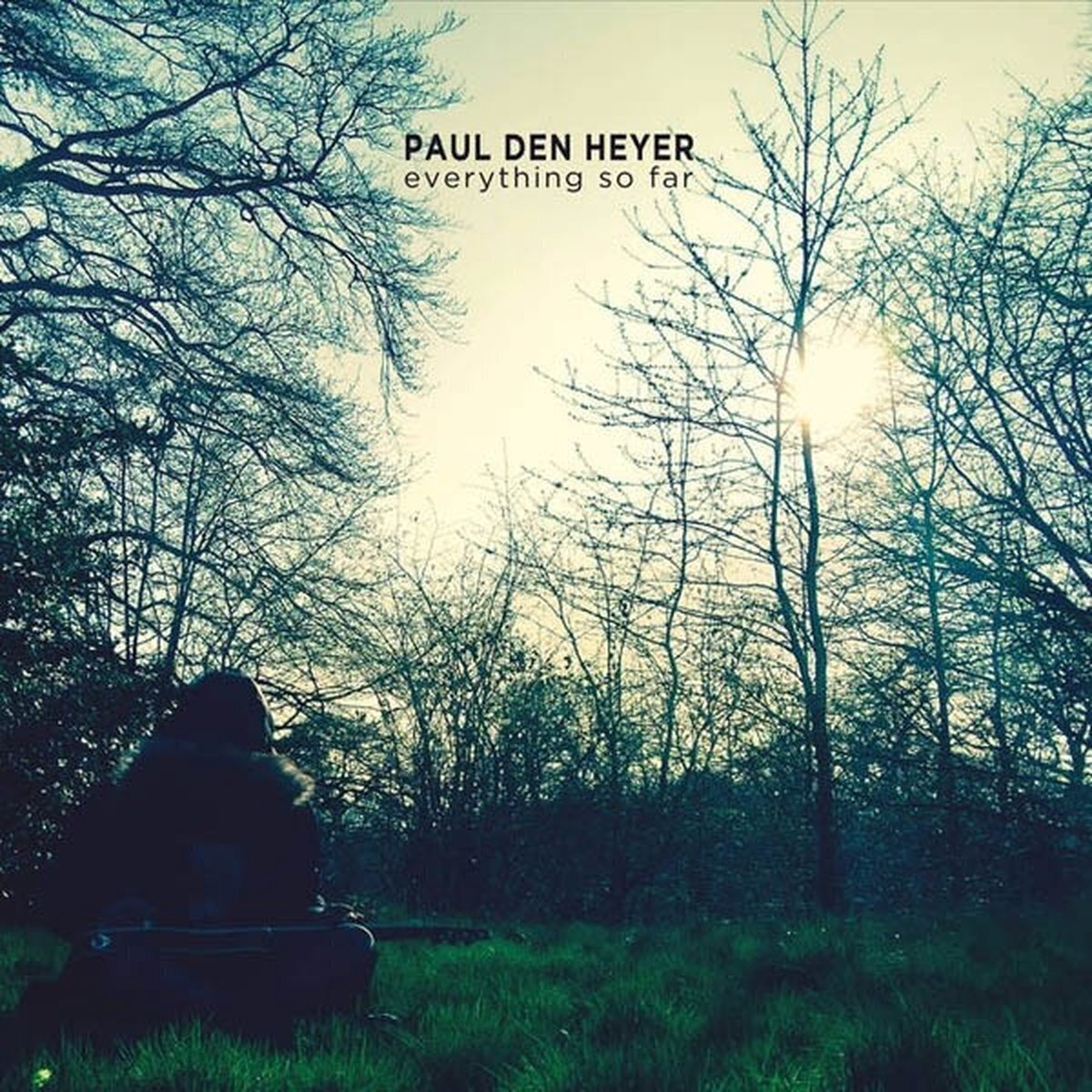 LP ploča Paul Den Heyer - Everything So Far (Limited Edition) (Clear Sunlight Coloured) (LP)