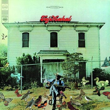 Δίσκος LP Taj Mahal - Taj Mahal (Reissue) (180 g) (LP) - 1