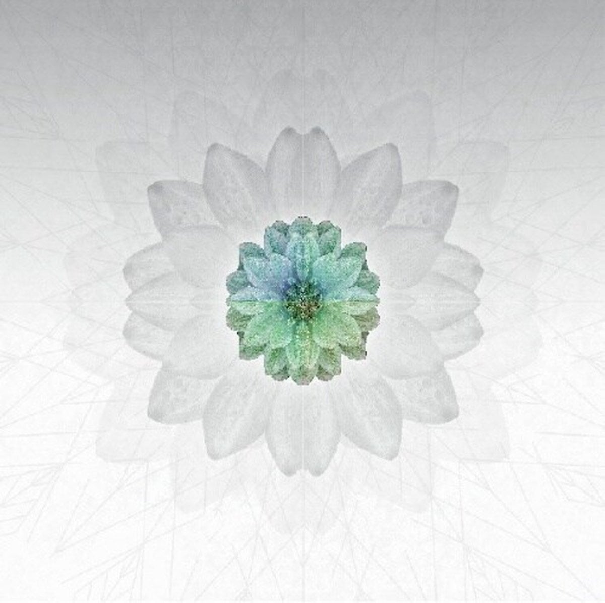 Δίσκος LP Tuomas Paukku - Description (LP)