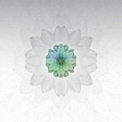 Δίσκος LP Tuomas Paukku - Description (LP)