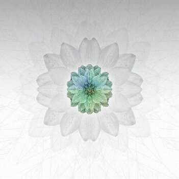 Δίσκος LP Tuomas Paukku - Description (LP) - 1