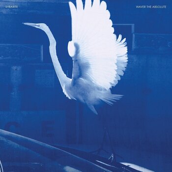 LP platňa Sybarite - Waver The Absolute (LP) - 1
