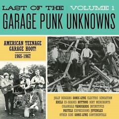 LP deska Various Artists - Last Of The Garage Punk Unknowns Volume 1 (LP)