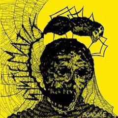 Schallplatte Systematik - Bondage (LP)