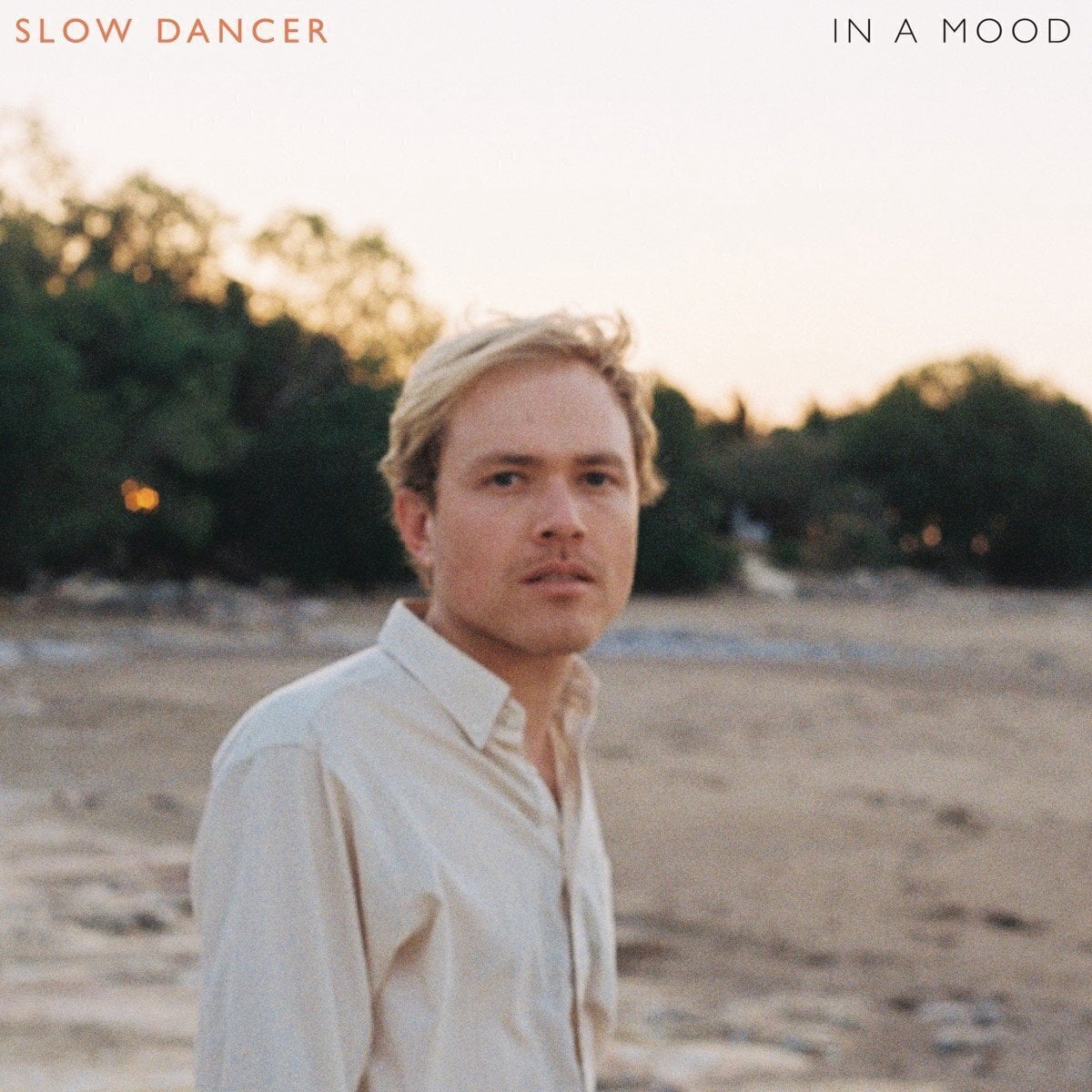 Disco de vinil Slow Dancer - In A Mood (2 LP)