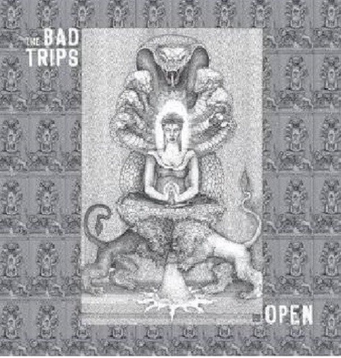 LP ploča The Bad Trips - Open (LP)