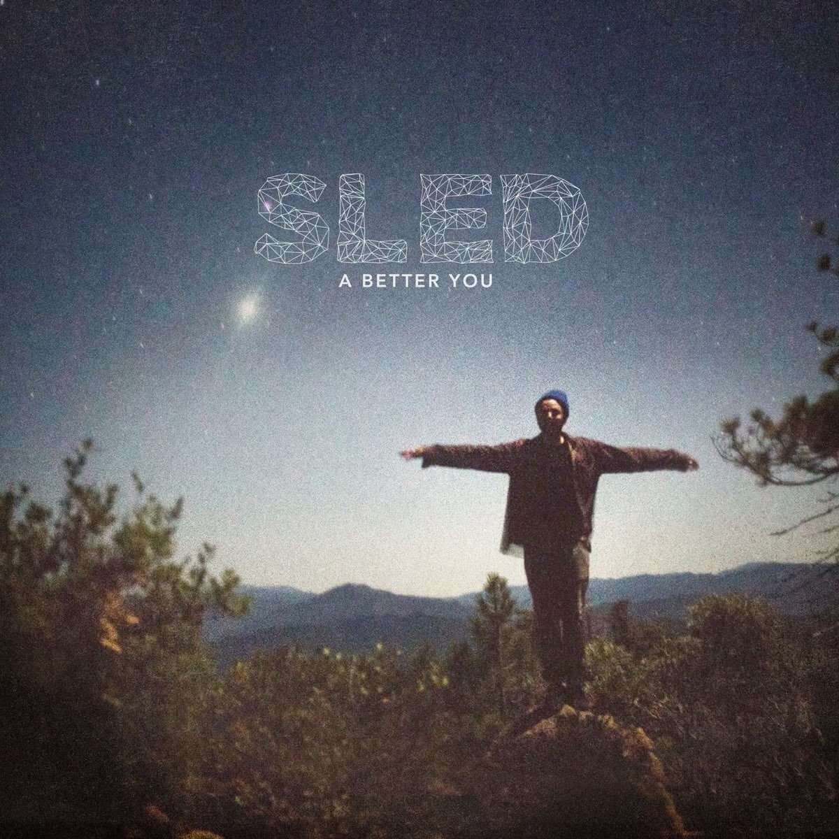 LP ploča Sled - A Better You (Limited Edition) (LP)