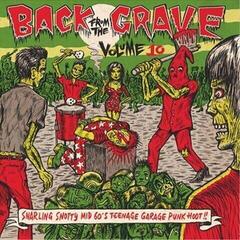 Płyta winylowa Various Artists - Back From The Grave Volume 10 (LP)