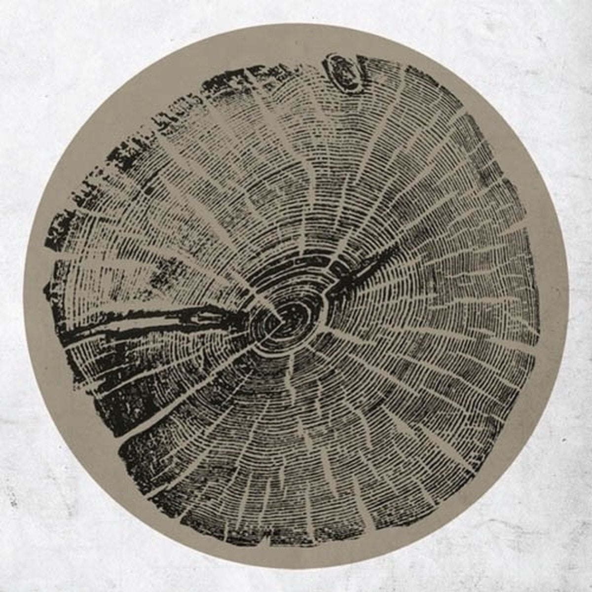 Disco de vinilo Roy Montgomery - H: Bender (LP)