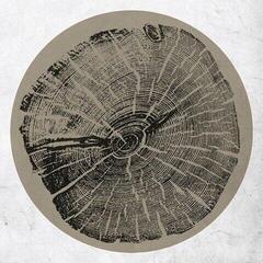 Disco de vinilo Roy Montgomery - H: Bender (LP)