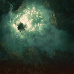 Disque vinyle Braids - Companion (EP)