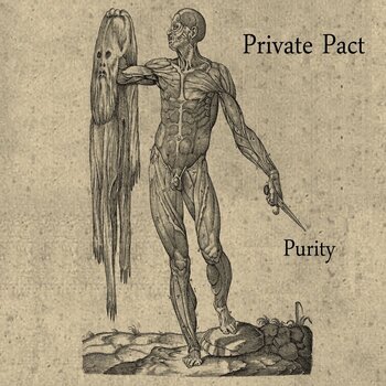 LP ploča Private Pact - Purity (LP) - 1