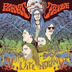 Disco de vinilo Plant Tribe - Late Noon (LP)