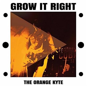 LP ploča The Orange Kyte - Grow It Right (LP) - 1