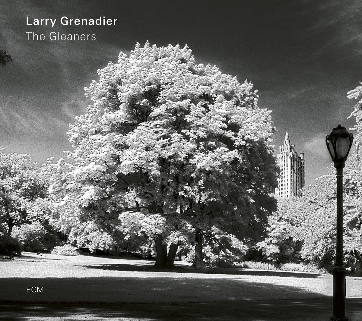LP deska Larry Grenadier - The Gleaners (LP)