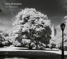 LP deska Larry Grenadier - The Gleaners (LP)