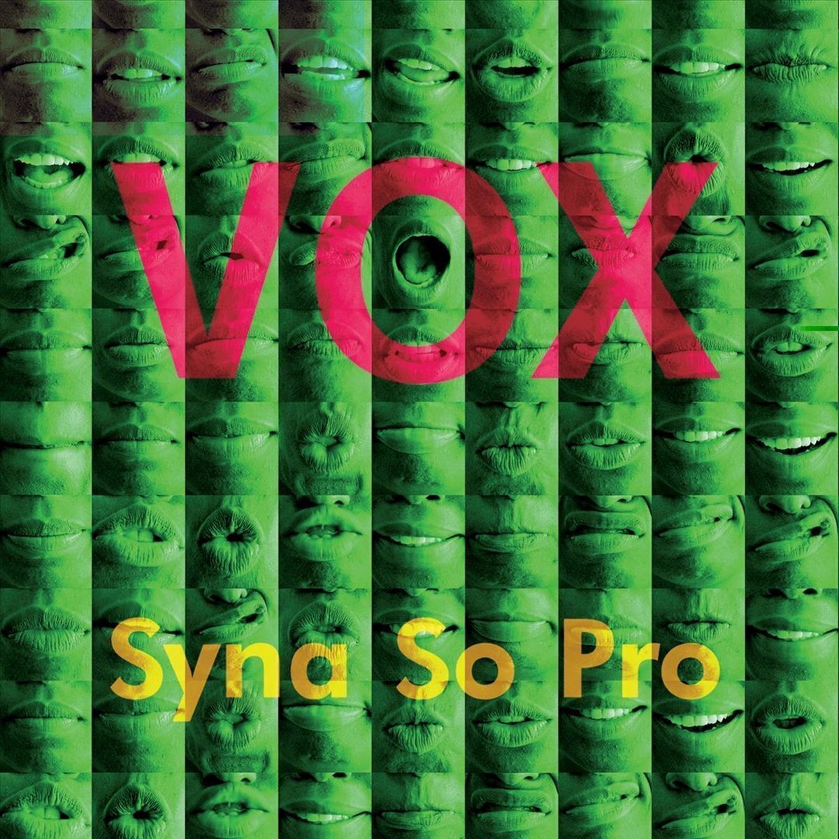 LP ploča Syna So Pro - Vox (LP)