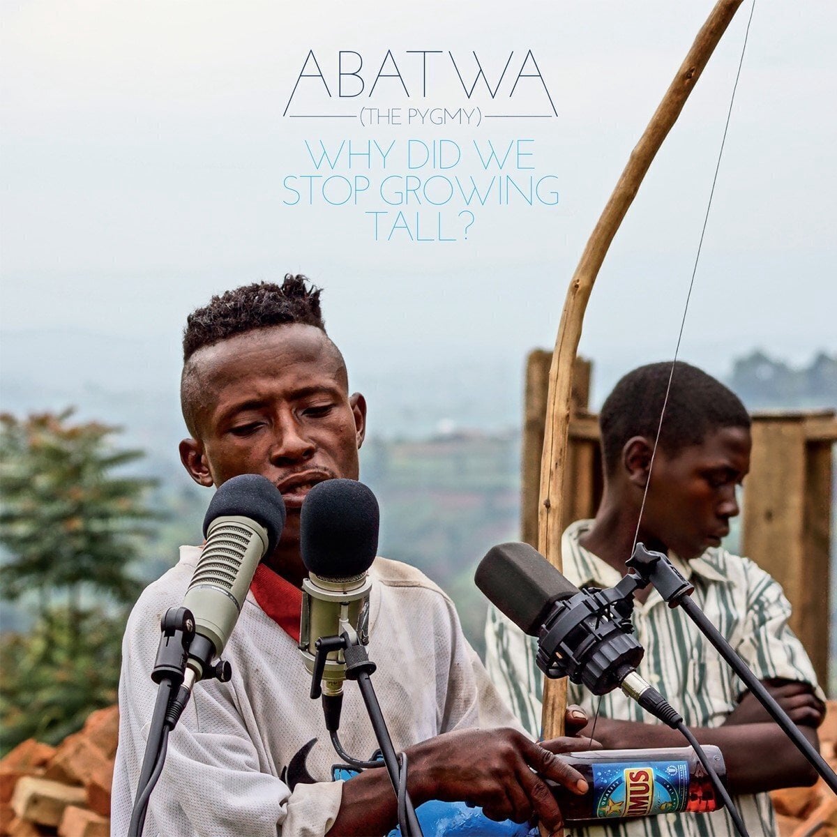 LP platňa Abatwa - Why Did We Stop Growing Tall ? (The Pgymy) (LP)