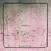 Schallplatte Blank Square - Animal 1 (Limited Edition) (LP)