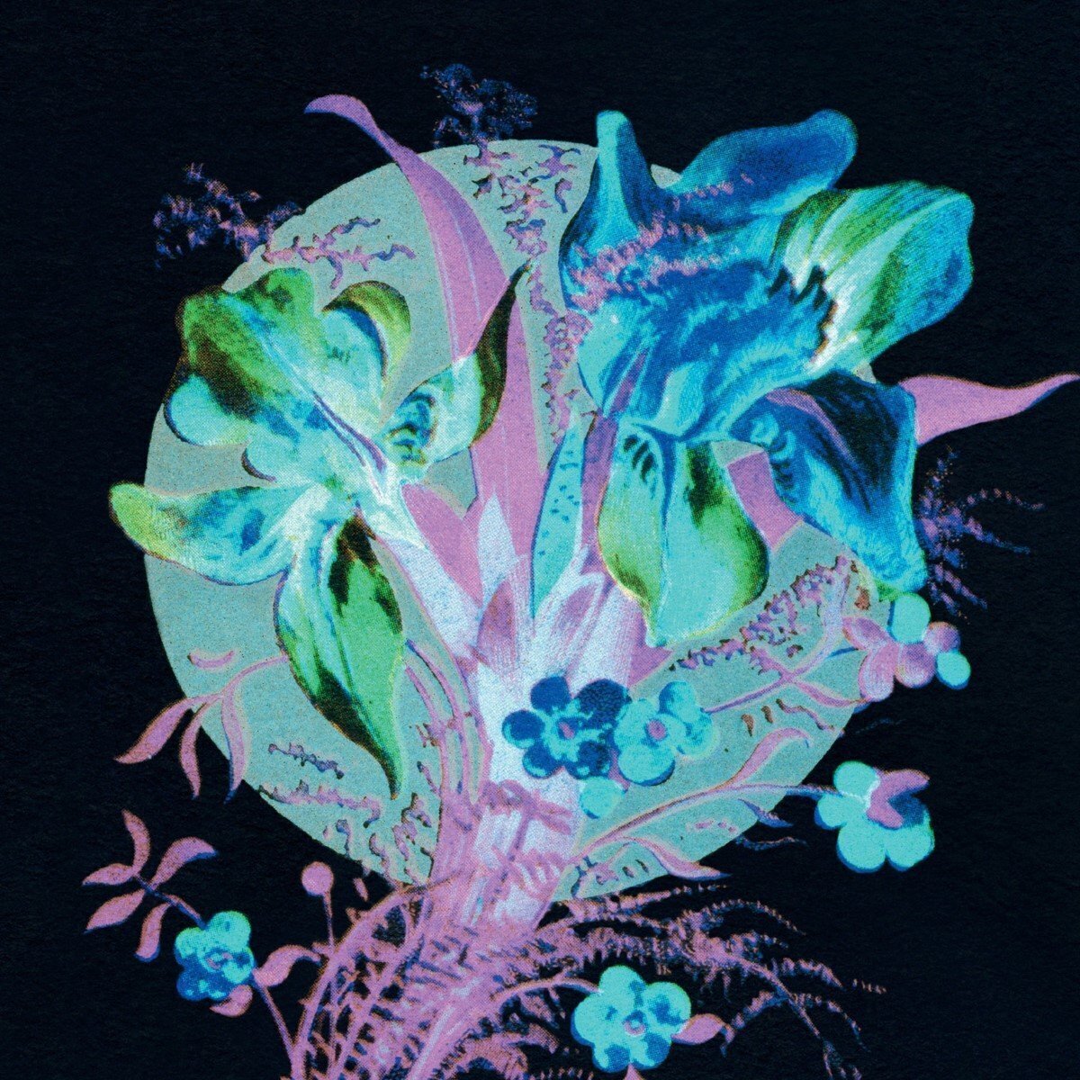 Disco de vinilo Hannu Karjalainen - A Handful Of Dust Is A Desert (Limited Edition) (LP)