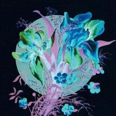 LP ploča Hannu Karjalainen - A Handful Of Dust Is A Desert (Limited Edition) (LP)