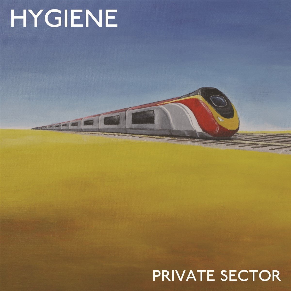 LP ploča Hygiene - Private Sector (LP)