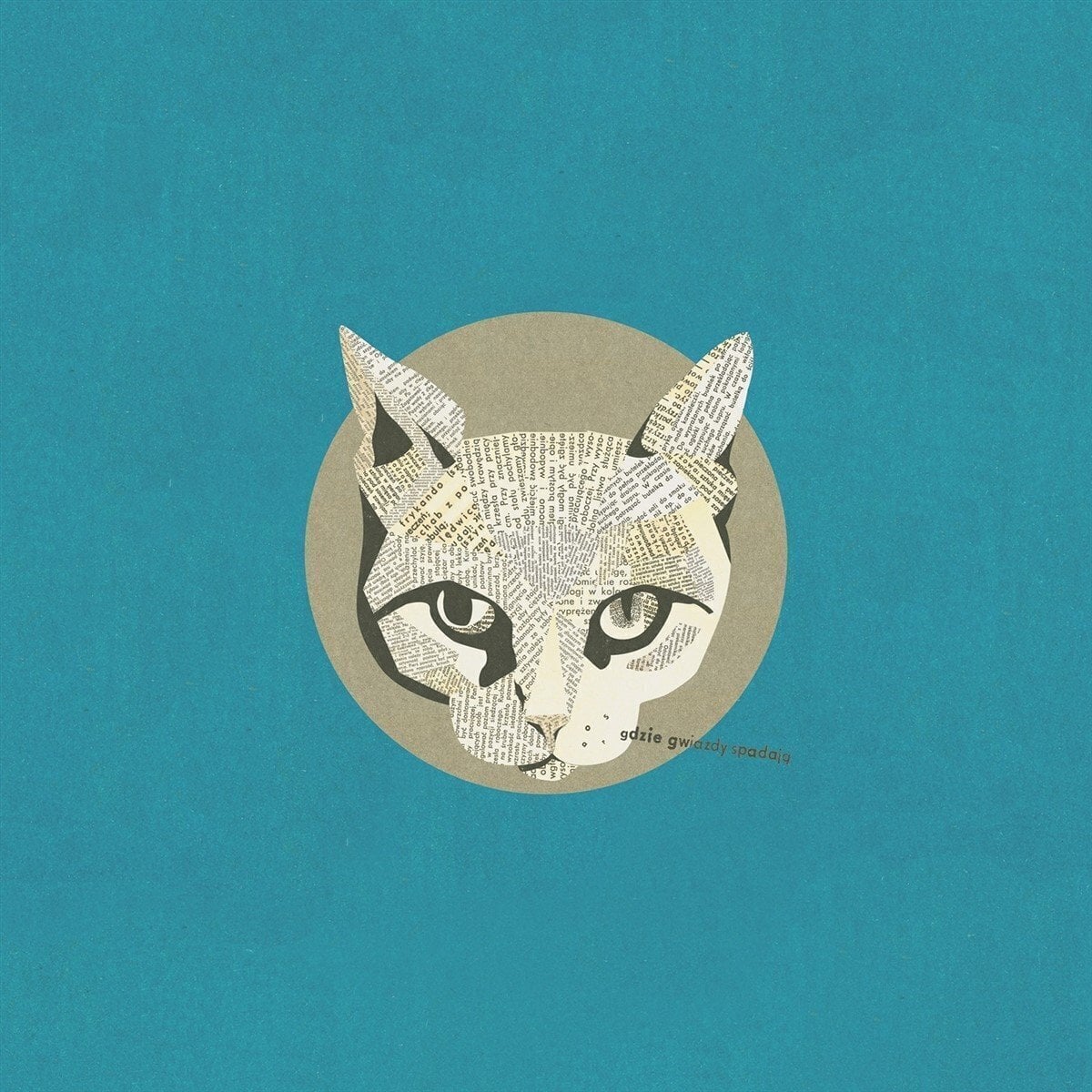 Płyta winylowa Aga Wilk - Moon (LP)