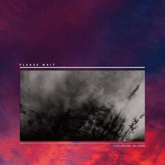 Δίσκος LP Please Wait - Look Around, See Inside (LP)
