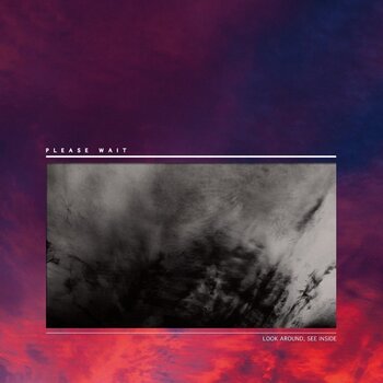 Płyta winylowa Please Wait - Look Around, See Inside (LP) - 1