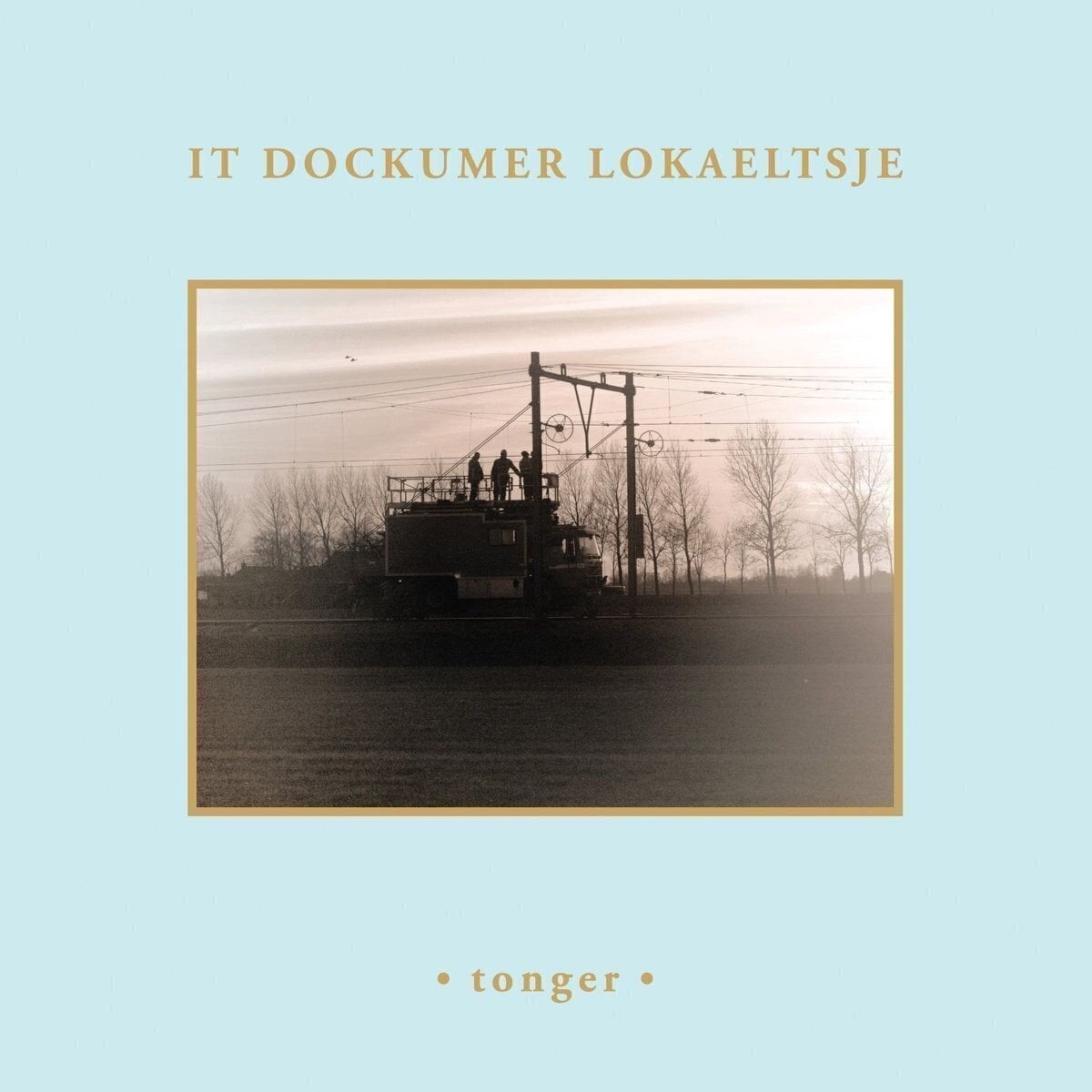 LP platňa It Dockumer Lokaeltsje - Tonger (LP)