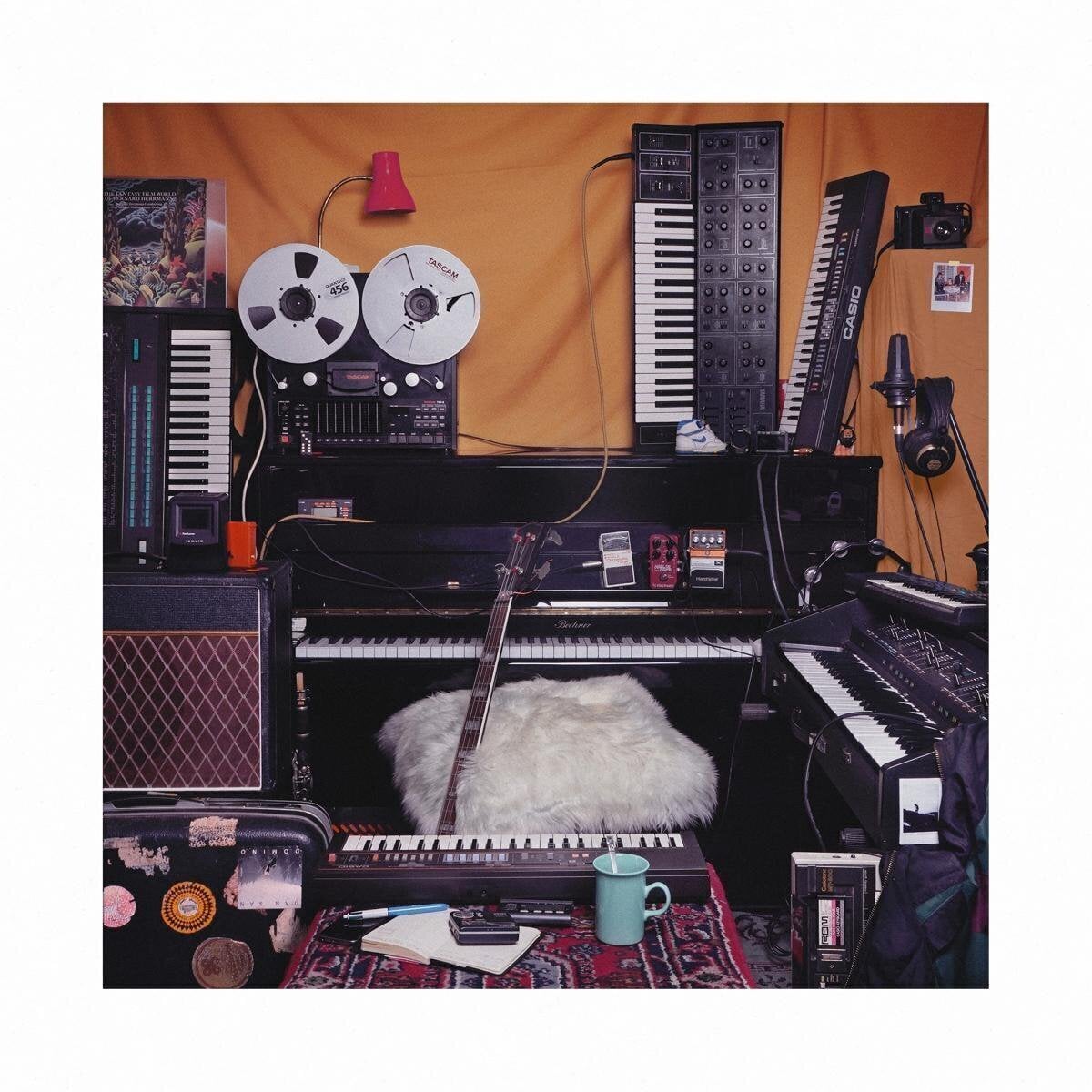 Disco de vinilo The Feather - Room (LP)