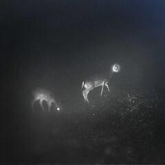 LP deska Bliss Signal - Bliss Signal (LP)