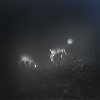 LP deska Bliss Signal - Bliss Signal (LP) - 1