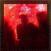 Disc de vinil Prison Religion - Cage With Mirrored Bars (LP)