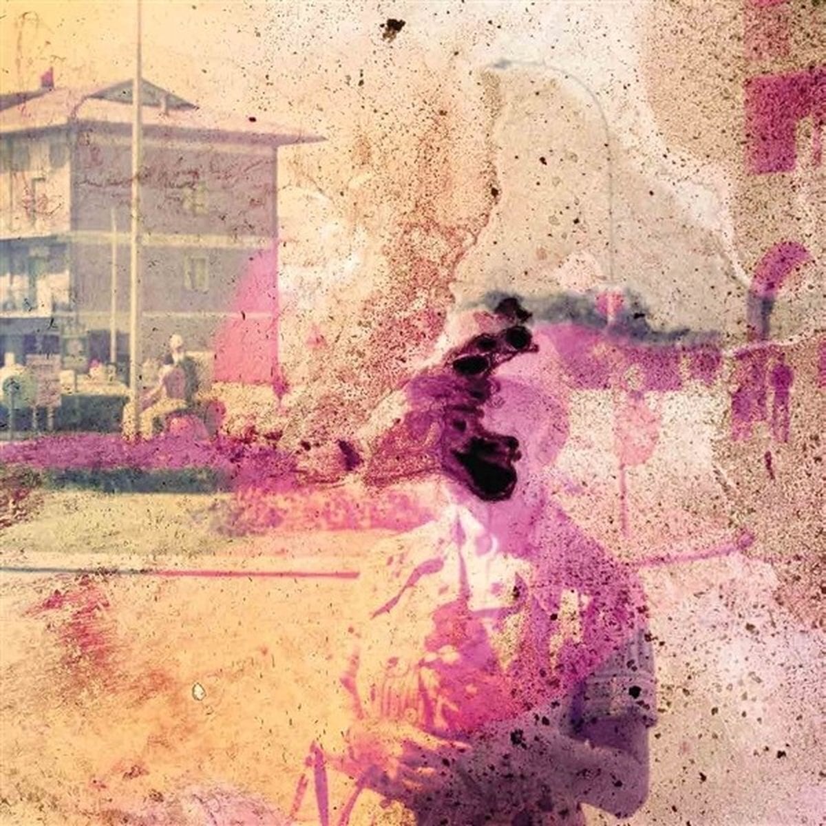 Δίσκος LP Sunflower - The Spiders We Caught (LP)