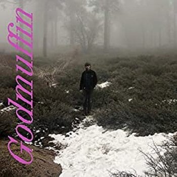 LP platňa Mike Viola - Godmuffin (LP) - 1