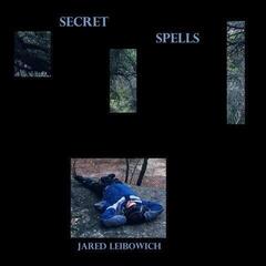 Вінілові платівки Jared Leibowich - Secret Spells (LP)
