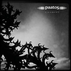Δίσκος LP Paatos - Ligament (LP)