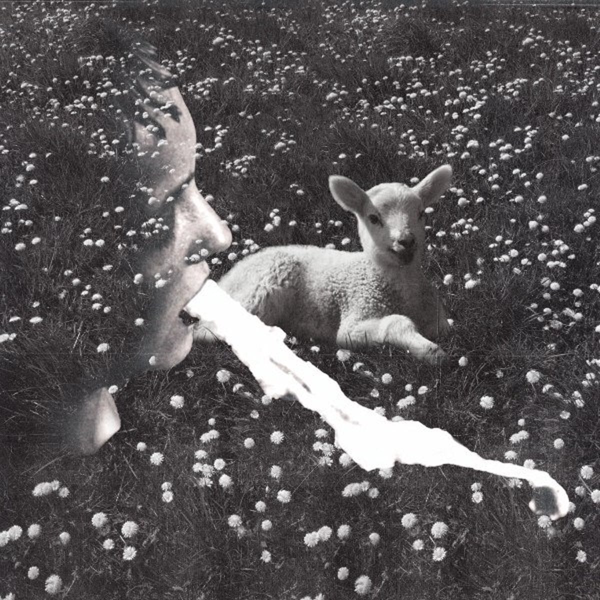 LP platňa Jealous Yellow - Czech Vampires (LP)