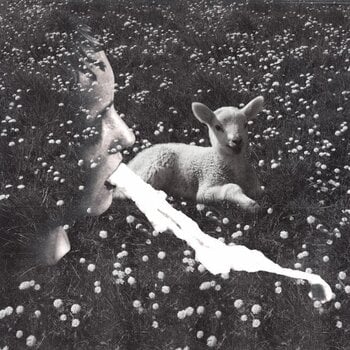 LP platňa Jealous Yellow - Czech Vampires (LP) - 1