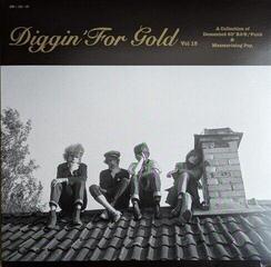 LP platňa Various Artists - Diggin' For Gold Vol 15 (Limited Edition) (LP)