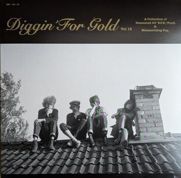 LP platňa Various Artists - Diggin' For Gold Vol 15 (Limited Edition) (LP) - 1