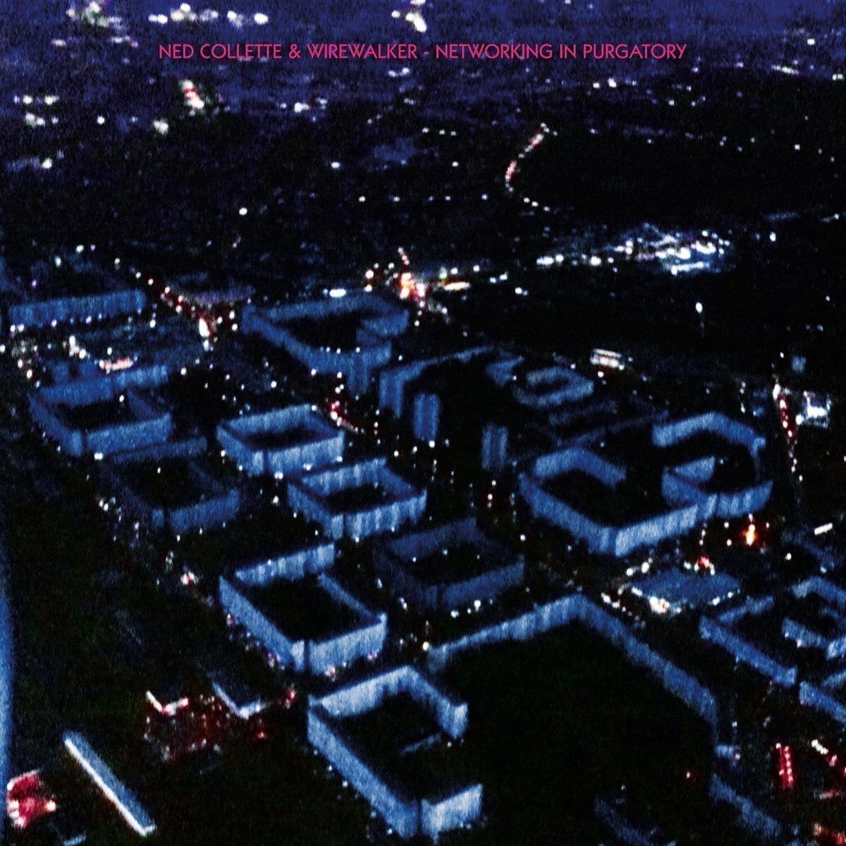 Вінілові платівки Ned Collette & Wirewalker - Networking In Purgatory (LP)