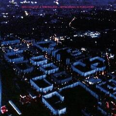 Вінілові платівки Ned Collette & Wirewalker - Networking In Purgatory (LP)