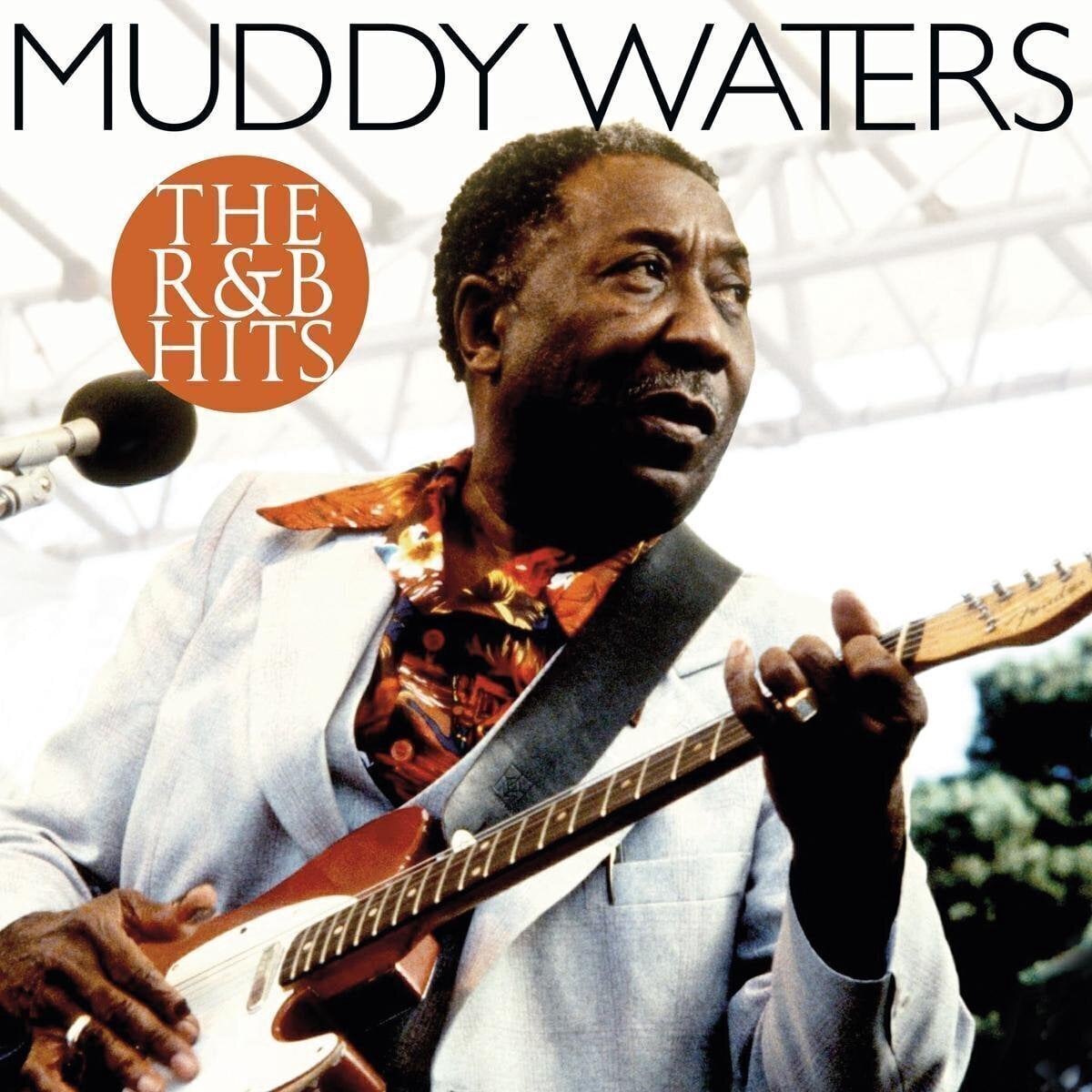 LP deska Muddy Waters - The R&B Hits (LP)