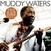 LP deska Muddy Waters - The R&B Hits (LP)