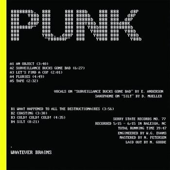 LP platňa Whatever Brains - Whatever Brains (LP) - 1