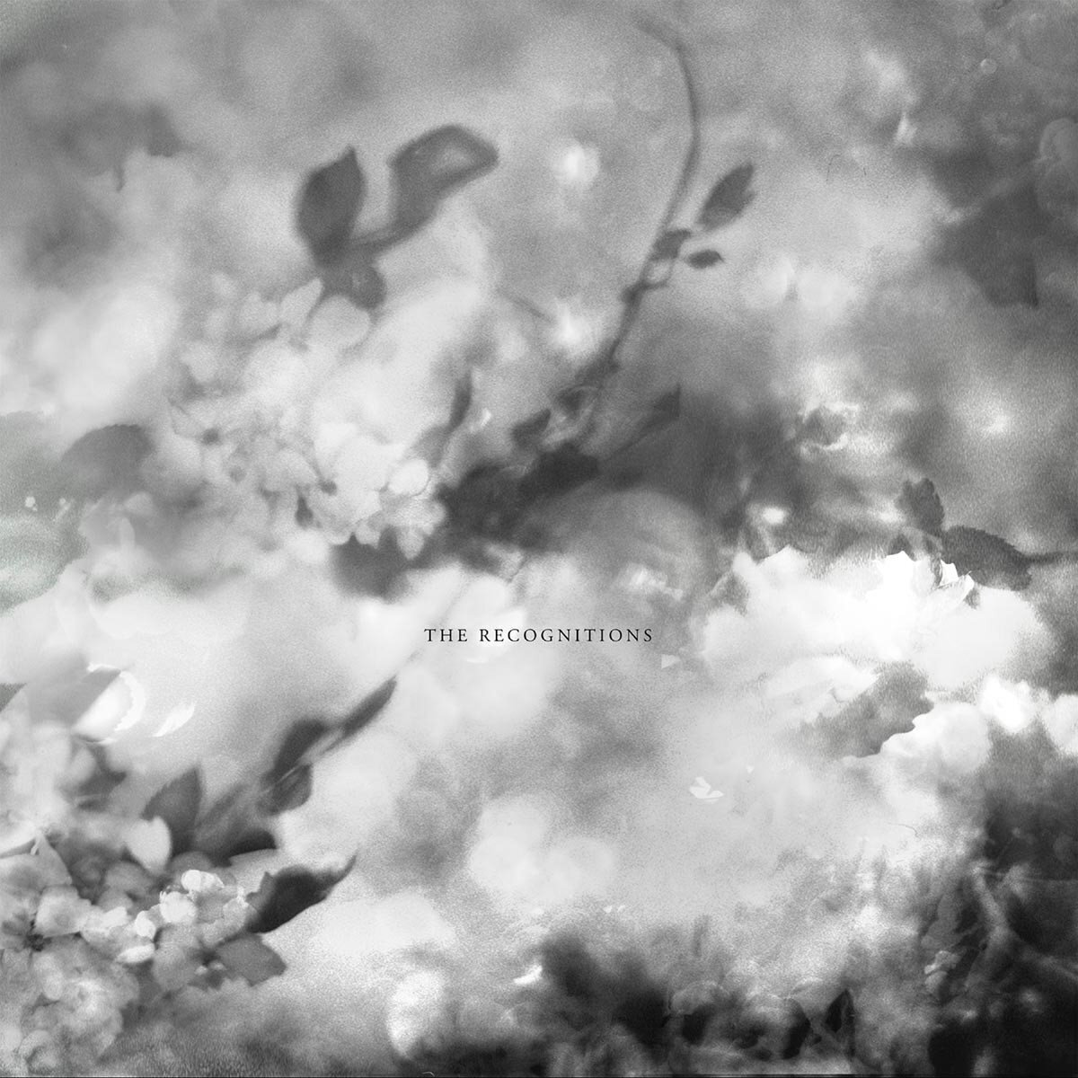 LP ploča Exitmusic - The Recognitions (LP)